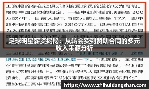 足球明星薪资揭秘：从转会费到赞助合同的多元收入来源分析